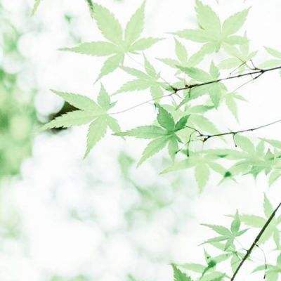 《新闻1+1》 20250728 世界人工智能大会，藏着怎样的“未来答案”？